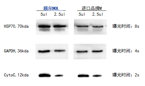 ag尊龙z6mg产品推荐：膜尔新材0.45μmPVDF膜—实验数据